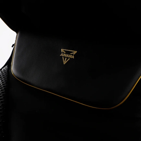 Детская коляска Junama Fluo Line V2 2 в 1 на золотой раме фото 11