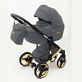 Детская коляска Ray Ultra Gold 2 в 1 (3 графитовая кожа
						
					) — Фото