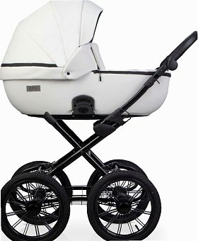 Детская коляска Riko Basic Montana Ecco Prestige 2 в 1