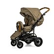 Olive 35713