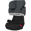 Grey Rabbit