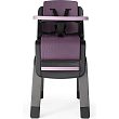 Black/Plum