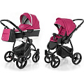 Детская коляска Esspero Newborn Lux 2016 2 в 1, шасси Black (Camellia
						
					) — Фото