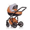 Детская коляска Anex Sport 2 в 1 (SP 14
						
					) — Фото