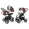 Детская коляска Esspero Newborn Lux 2 в 1, шасси Black (Chek
						
					) — Фото