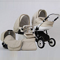Детская коляска Car-Baby Concord Ecco 3 в 1 (17
						
					) — Фото