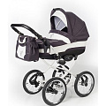Коляска для новорожденных Esspero Classic шасси Black (Grey Leves
						
					) — Фото