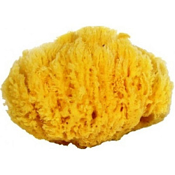 Губка натуральная морская 7 Морей Grass form