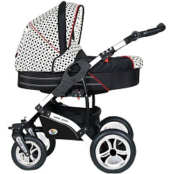 Детская коляска Danny Sport 3 в 1