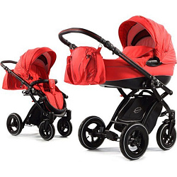Детская коляска Tako Alive BornToRide Collection 2 в 1