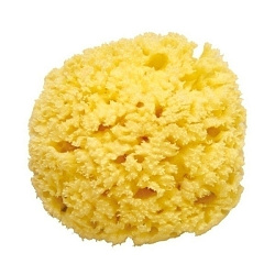 Губка для мытья Ok Baby Honeycomb