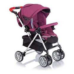 Прогулочная коляска Jetem Clover S-802W