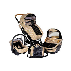 Детская коляска DPG Carino Limited 3 в 1