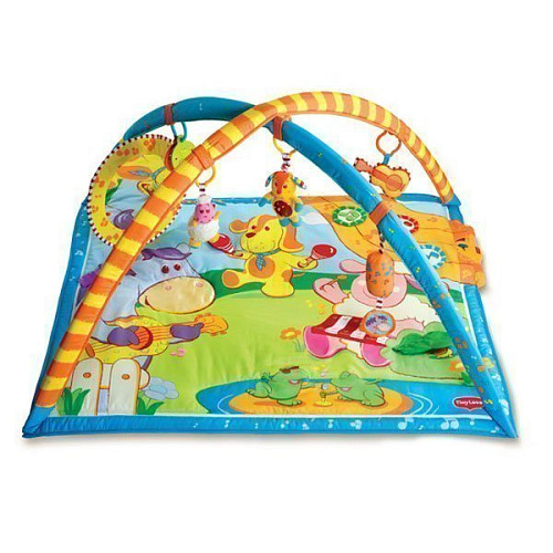 Tiny sale love babygym