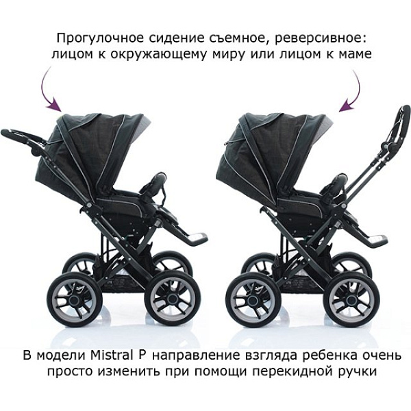 Фото Детская коляска Teutonia Mistral Primus V3 Titanium WHL3 2 в 1, реальные фотографии клиентов | Коляски-Кроватки.Ру