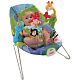 W9451 Игровое детское кресло-люлька Fisher Price Расти и Познавай фото 4